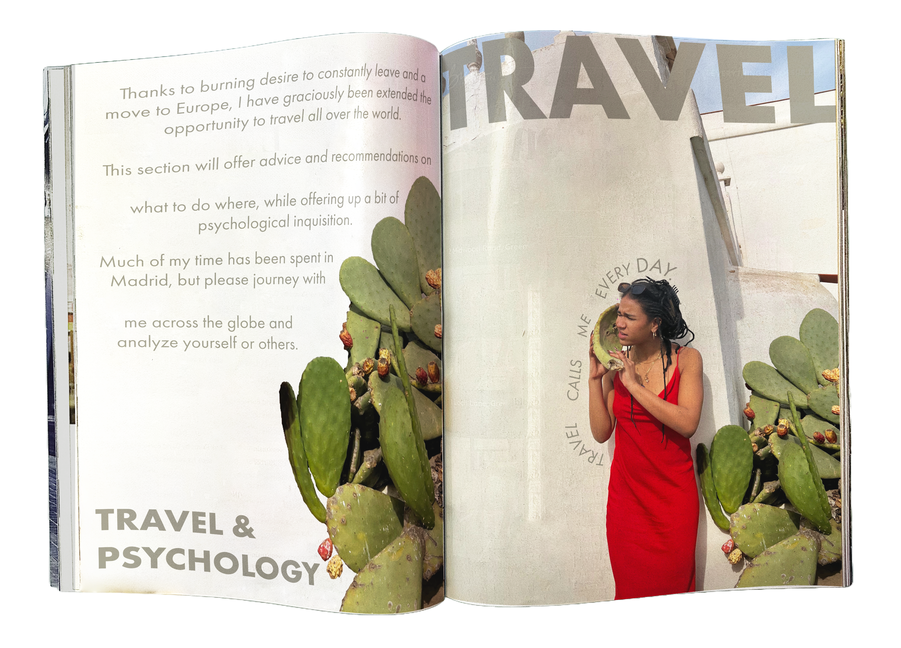 travelsectionblogmagazine